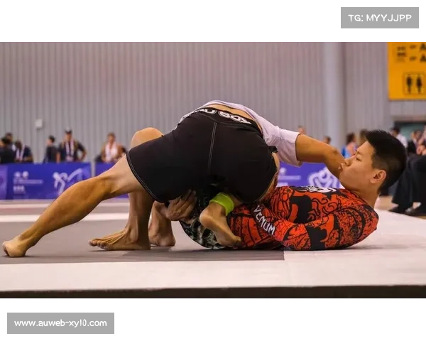 赛事融入巴西柔术等项目展示,多角度呈现综合格斗竞技魅力 赛事融入巴西柔术等项目展示,多角度呈现综合格斗竞技魅力