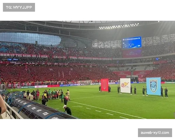 凤凰山体育场草坪更换完成：专业草皮铺设就绪，静待中超揭幕战上演